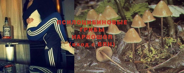 стаф Пестово