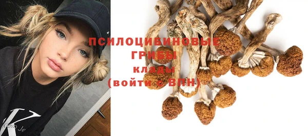 синтетический гашиш Покровск