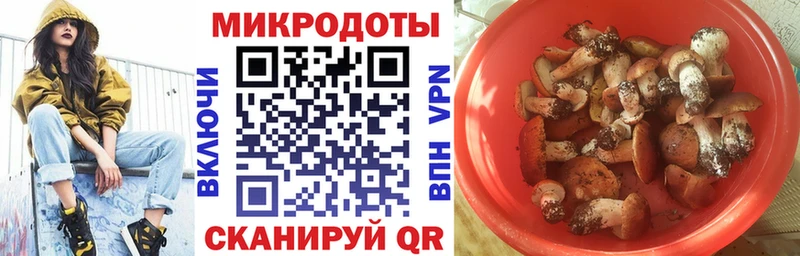 Псилоцибиновые грибы GOLDEN TEACHER  Купить  Краснодар 