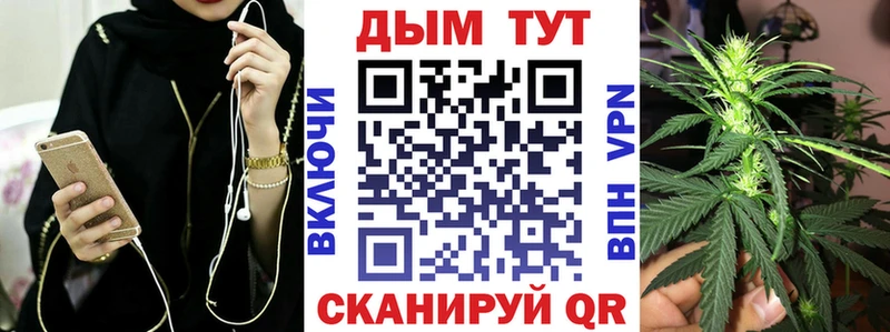 Канабис SATIVA & INDICA Купить где Краснодар